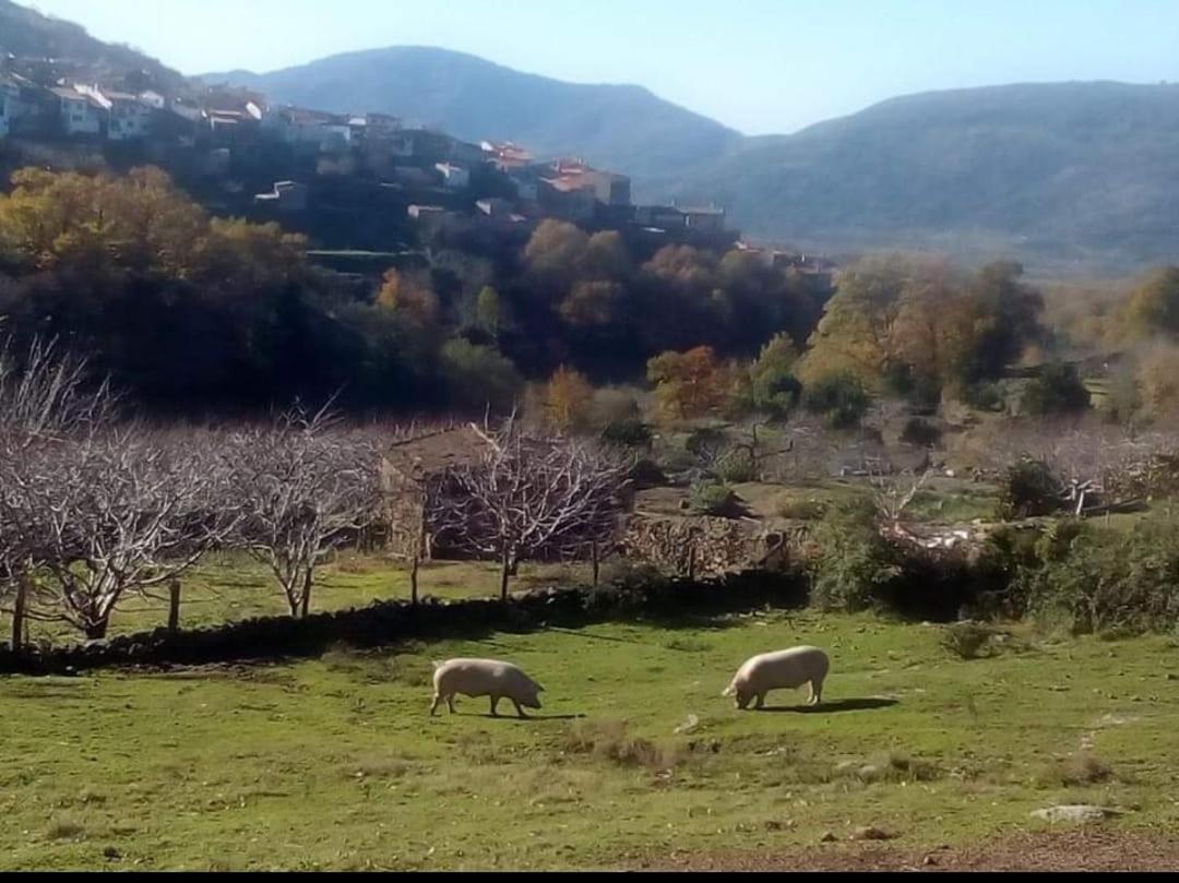 El Nido, Casa Rural Casas del Castañar Esterno foto